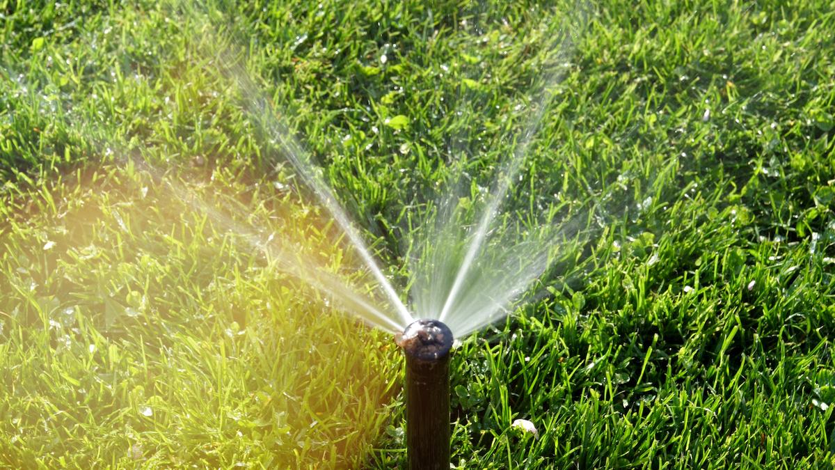 Kennewick Irrigation District plans a voluntary lawn watering schedule this summer for the first time since the drought of 2015.