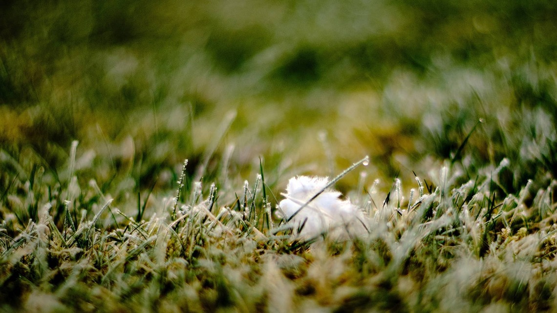 Farmers' Almanac Reveals What US Homeowners Should Do Before the First Hard Freeze Hits 
