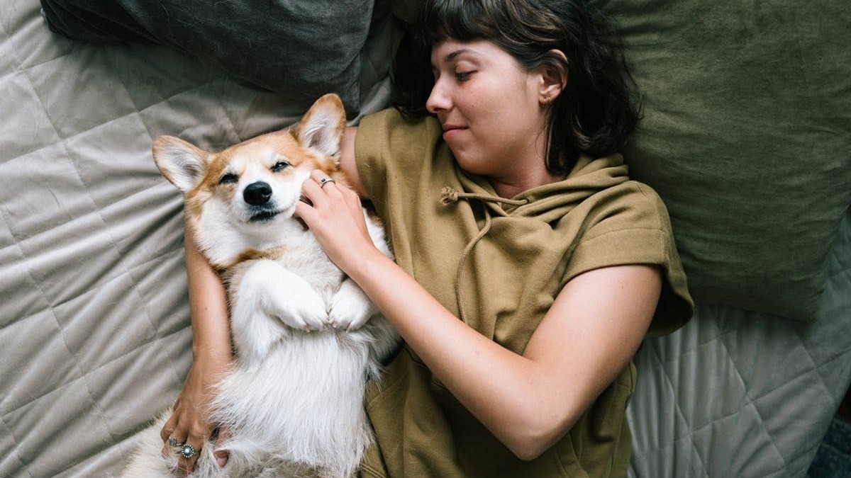 Certain sleep positions can signal your dog feels safe and secure. 