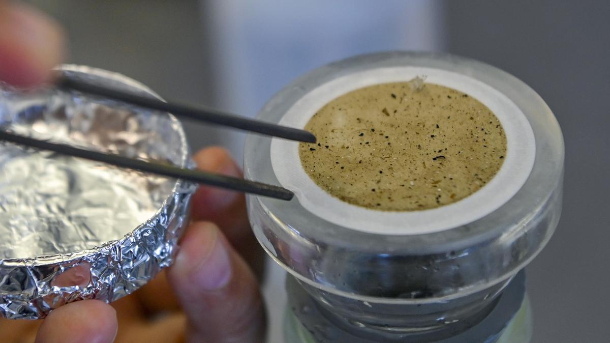 Microplastic particles have settled on a membrane after filtration in the laboratory of the Hellenic Centre for Marine Research on July 15, 2025, in Anavissos, near Athens, Greece. Milos Bicanski/Getty Images/TNS)
