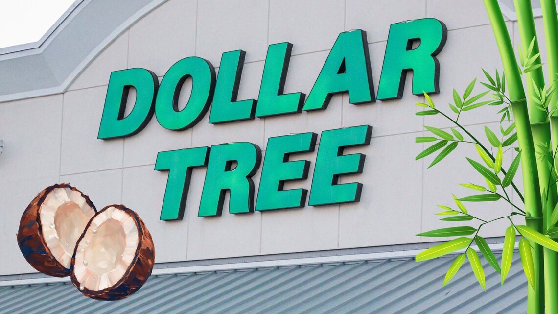 Dollar Tree Has Beachy-Cute 'Coconut Girl' Decor for Under $1.50