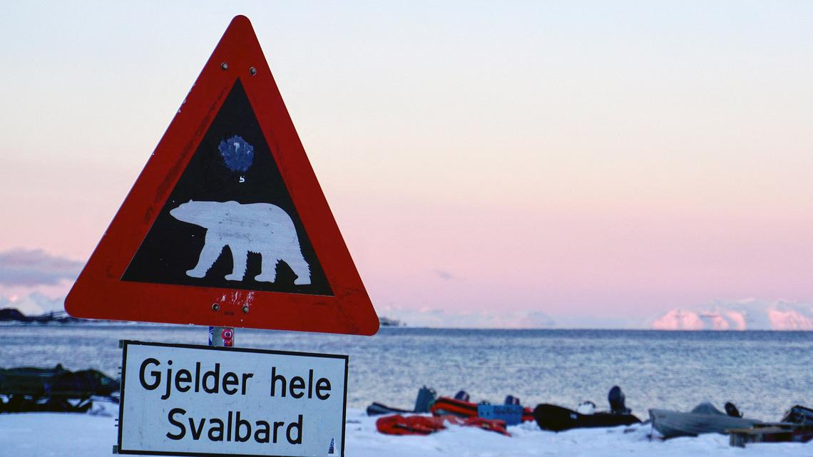 Earth Talk: Polar bears 