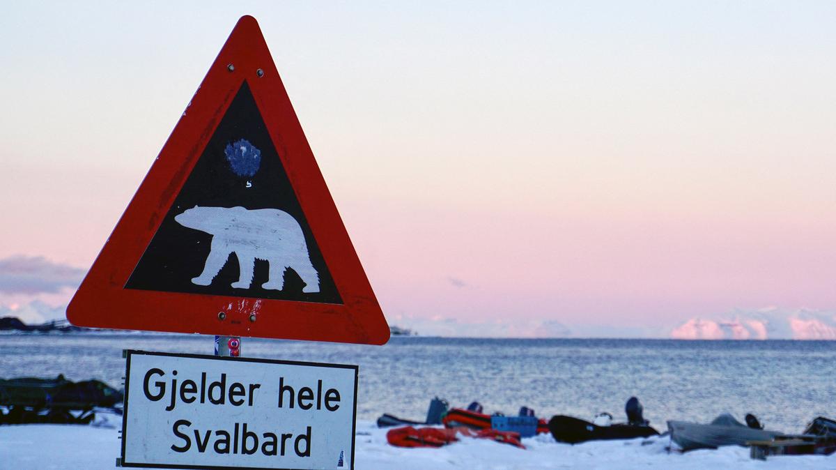 A sign warns of polar bears at the city limits of Longyearbyen on the Norwegian archipelago of Svalbard on Feb. 18, 2026. There are no outward signs of jitters, at least not yet: people in Svalbard are going about their daily lives as normal despite speculation that this Norwegian archipelago could be the next Arctic territory coveted by the US or Russia. "Today Greenland, tomorrow Svalbard?" --Terje Aunevik, mayor of Svalbard's main town Longyearbyen, says he has been asked the question many times. (Oriane Laromiguière/AFP/Getty Images/TNS)