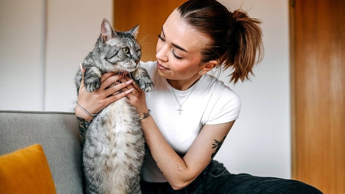 7 Cat Breeds That Are Surprisingly Confident, According to a Vet 