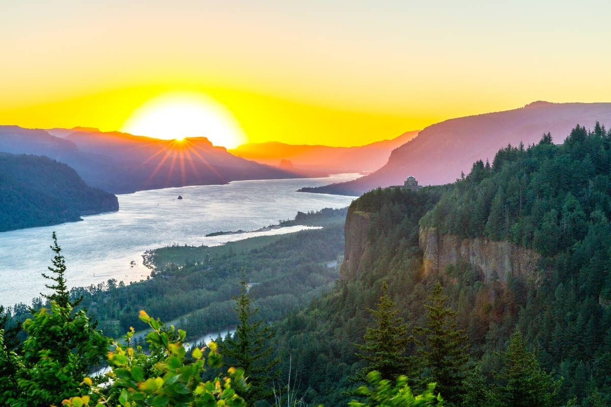  Water-rich habitats help sustain some of Oregon's most frequently observed snakes.