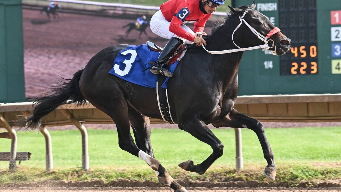 D I Wire Goes Gate To Wire In New York Breeders' Futurity 