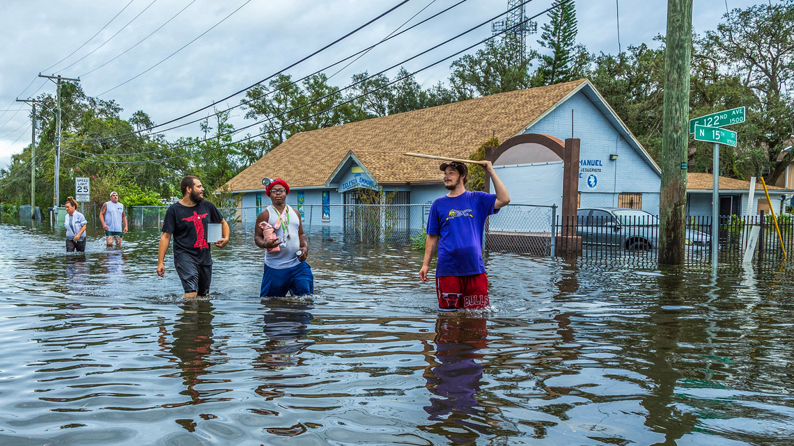 Estas son las pérdidas agrícolas que causó el huracán Milton en Florida