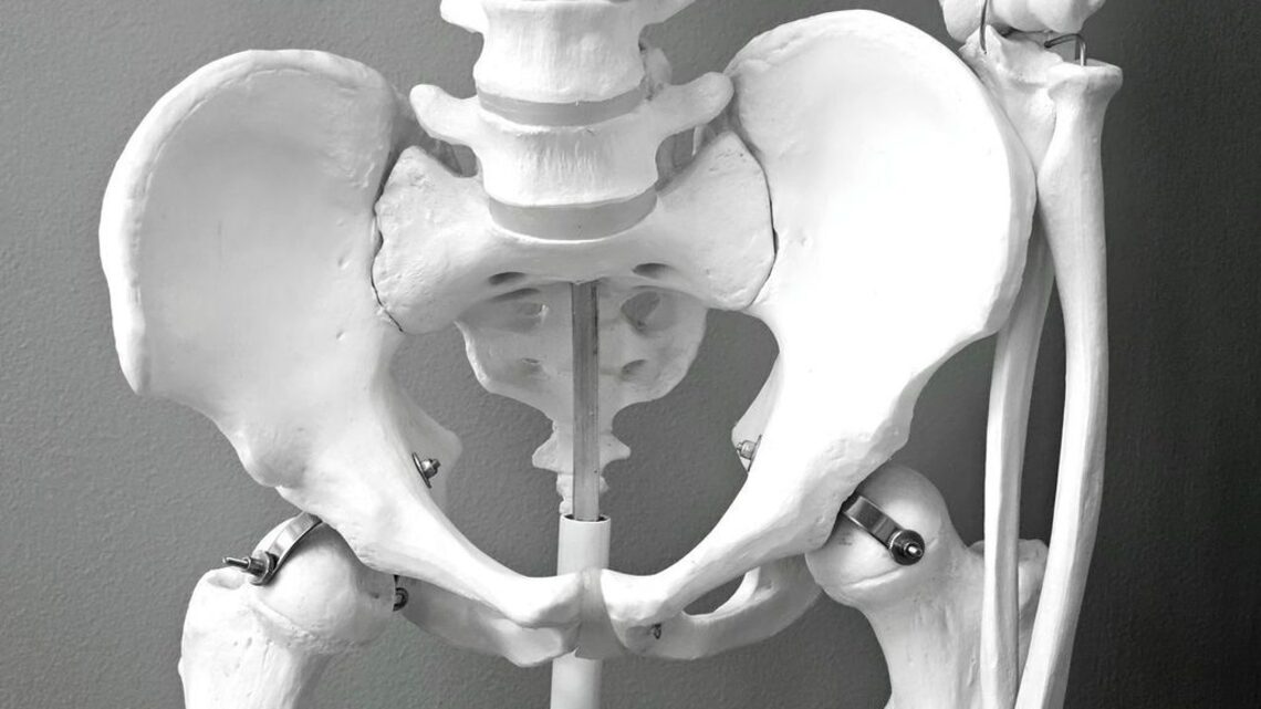Can cancer drugs treat osteoporosis and midlife weight gain?