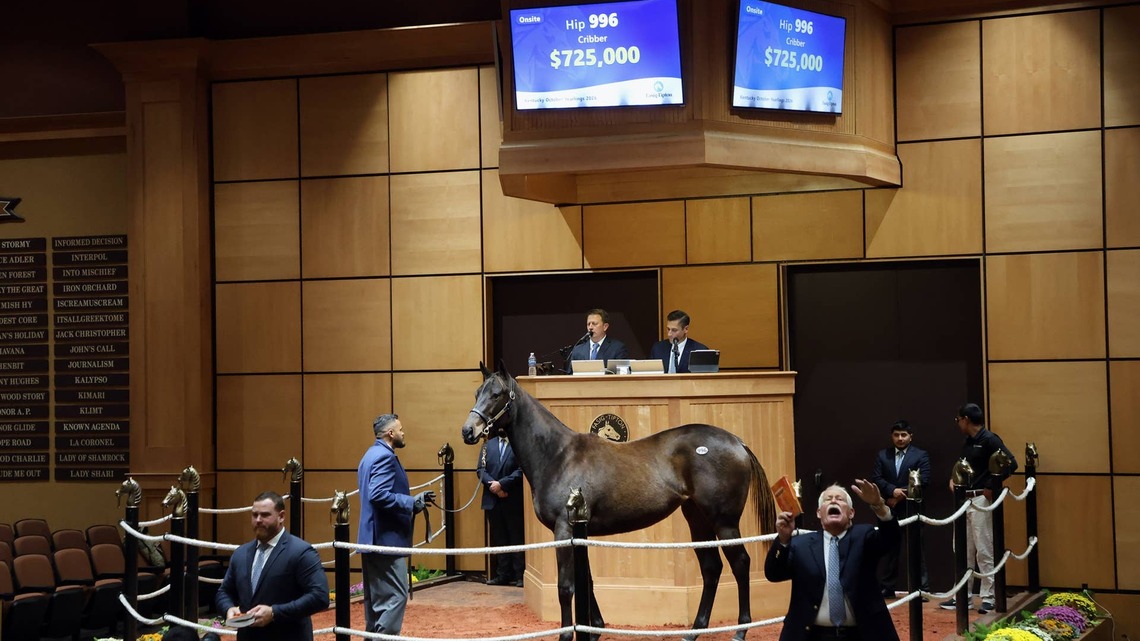 Nyquist Filly Tops Third Session Of Fasig-Tipton Kentucky October Yearlings 