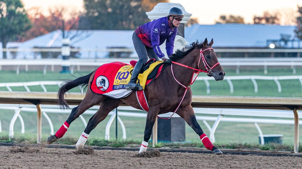 Breeders' Cup Notes: Forever Young Draws Crowd During Breeders' Cup Classic Preparations 