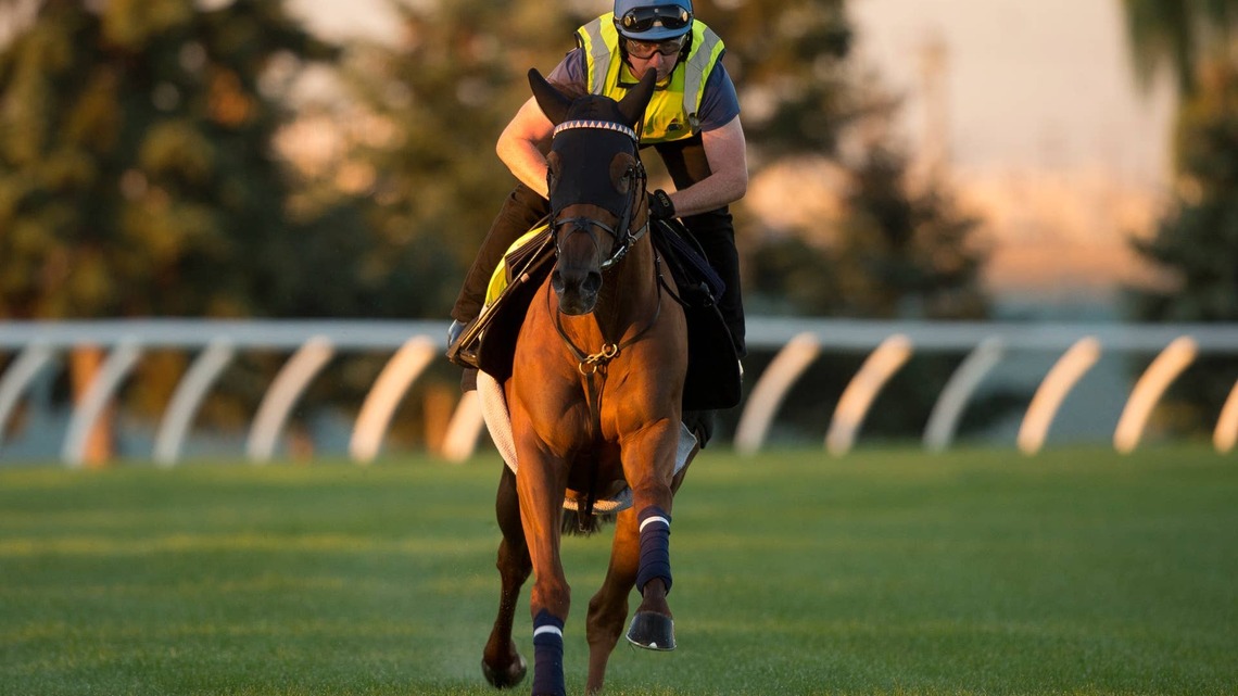 Equibase Analyst: Archivist Will Try To Stop A Notable Speech Repeat In Woodbine Mile 