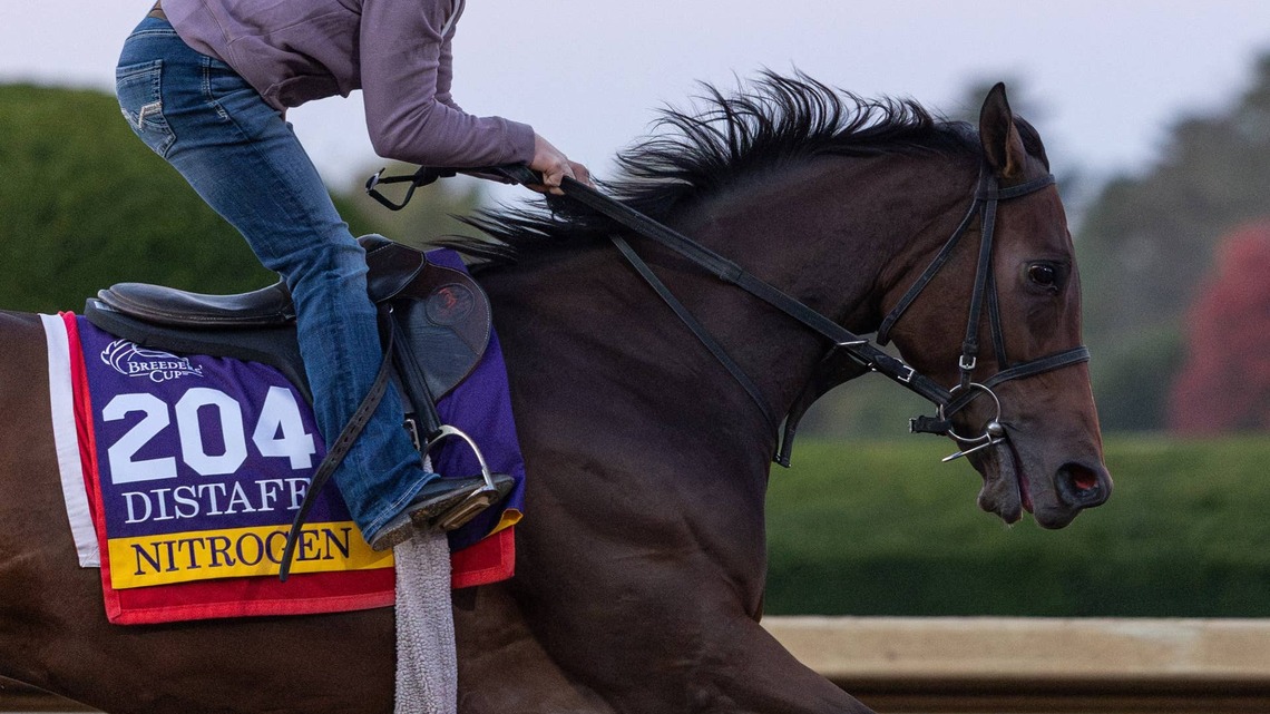 In Rare Air: Distaff Contender Nitrogen Seeks Another Championship 