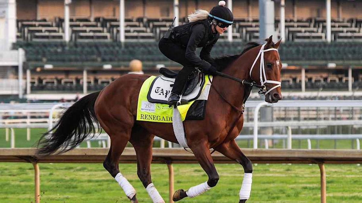  Renegade, who is Into Mischief's son, is the odds-on favorite for Saturday's run for the roses. | Matt Stone/Courier Journal / USA TODAY NETWORK via Imagn Images 