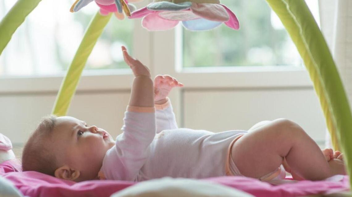 Marko Poplasen // Shutterstock