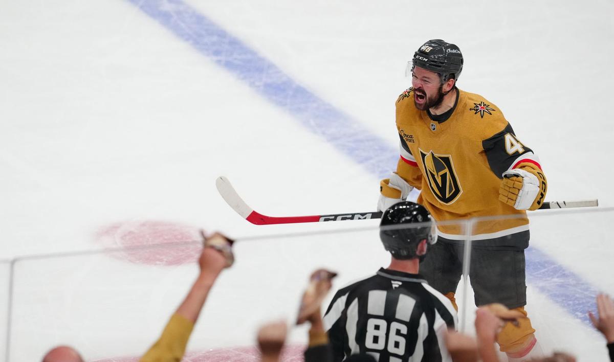  Who's Hot And Cold In The NHL Playoffs: Hertl Heats Up For Vegas, But Canadiens' Dobson Doesn't 