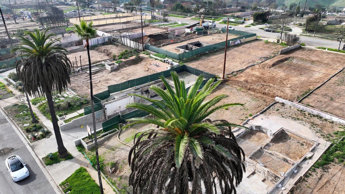 An aerial view of surviving trees and cleared lots where homes were destroyed by the Palisades Fire on Dec. 22, 2025, in Pacific Palisades, California. (Mario Tama/Getty Images/TNS)