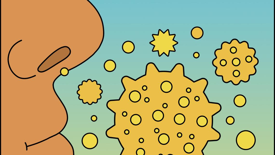 What Seasonal Allergies Do to Your Body