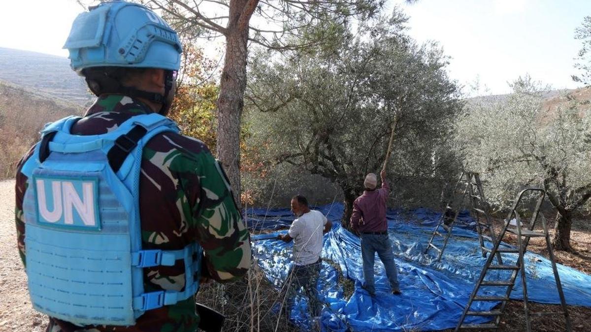 A United Nations Interim Force in Lebanon soldier stands guard as farmers harvest olives in the village of Odaisseh, located close to the Blue Line border with Israel, in southern Lebanon, in October. File Photo by Wael Hamzeh/EPA