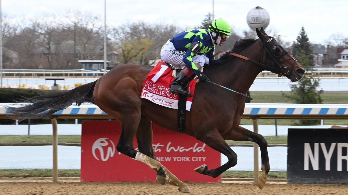 Kentucky Derby Starter Resilience To Enter Stud In Uruguay 