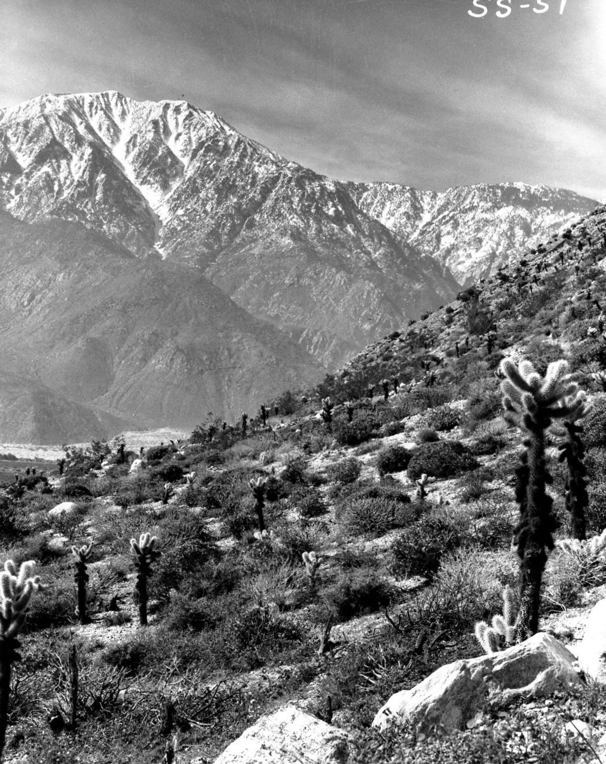 Enscarpment of the desert floor and Mt. San Jacinto.