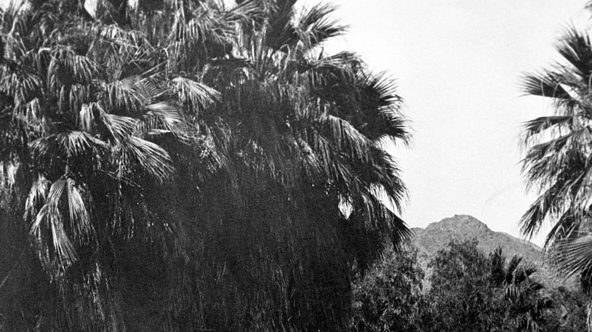 Original Agua Caliente Band of Cahuilla Indians bathhouse c. 1889.