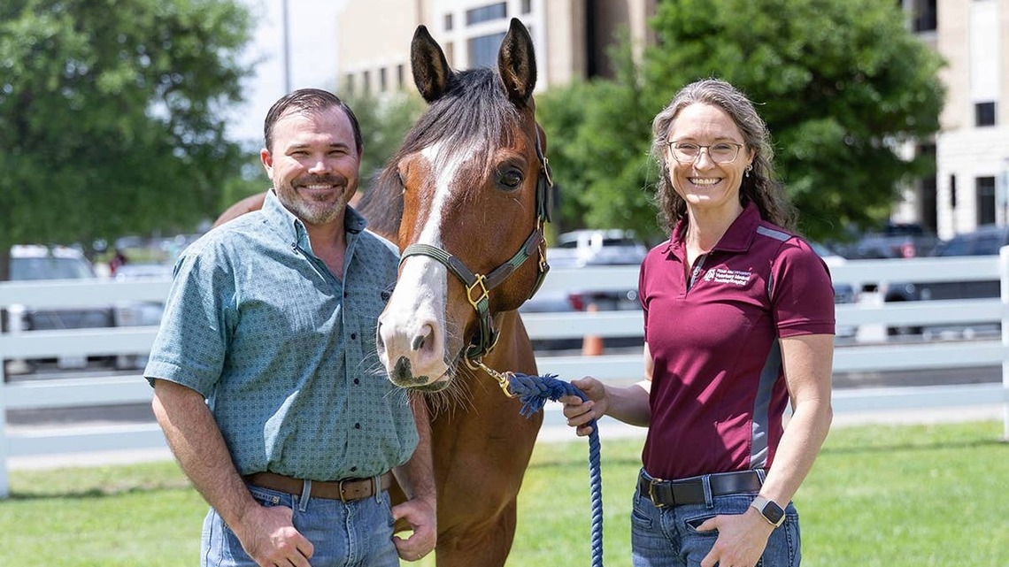 Innovative Spinal Surgery Gives 'Captain' A Second Chance 