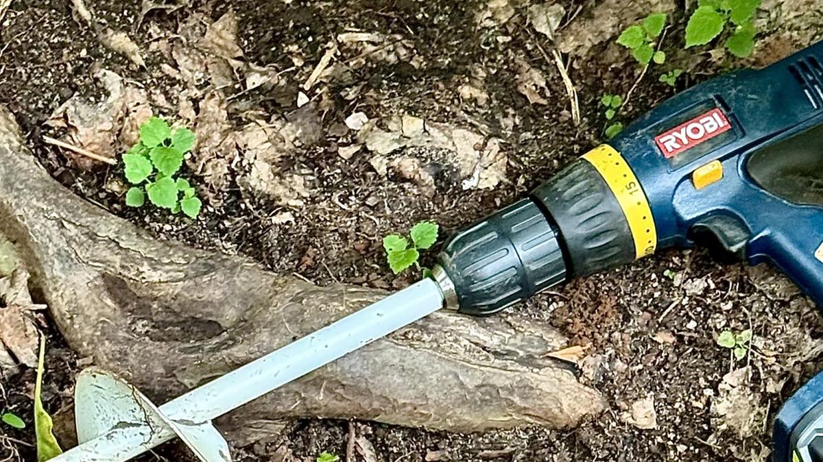 The Twist ‘n Plant auger created three holes for Heart to Heart, caladium bulbs. The white paint showing on the bulb from the hole indicated they have been planted ‘right’ side up.