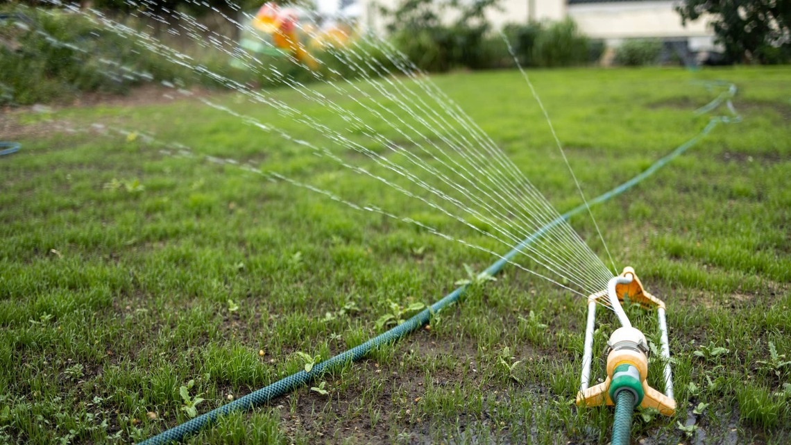 The Biggest Mistake People Make Watering Their Lawns in August, According to Lawn Experts 