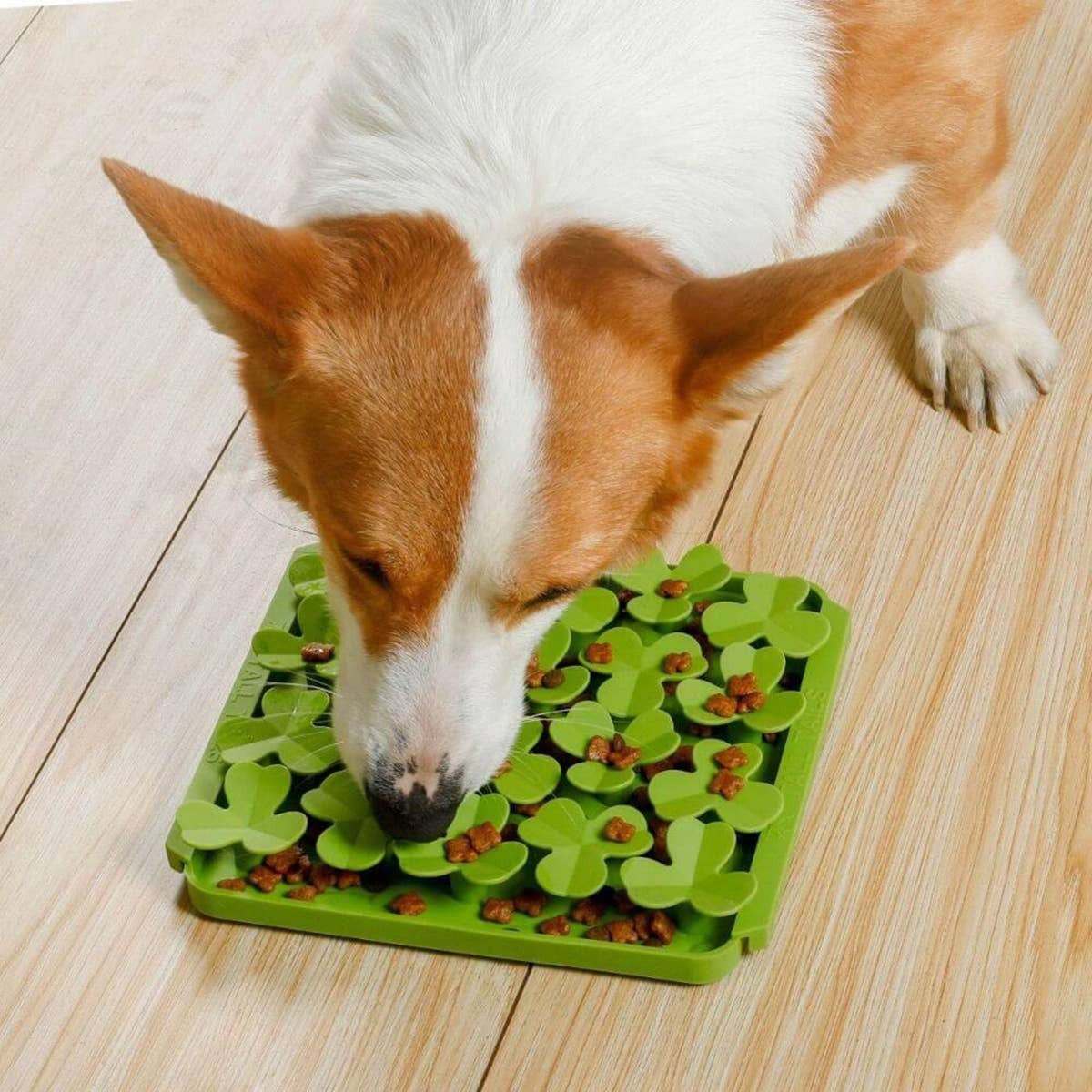  Dog eating from Clover Dog Foraging Interactive Mat & Slow Feeder.