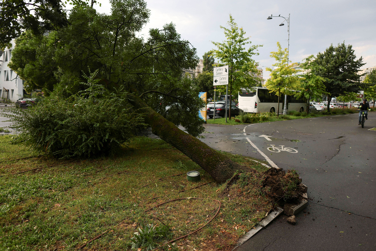 An uprooted tree following heavy gusts of wind during a strong storm in northern Bucharest, Romania, July 1, 2026. Inquam Photos/Octav Ganea via REUTERS