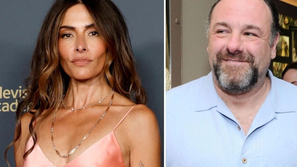 Sarah Shahi Recalls Getting ‘Tuned on' by James Gandolfini in Sex Scene 