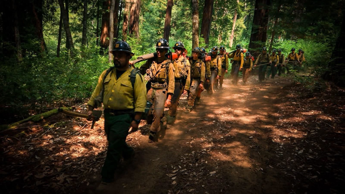 Big Sur wildfires grow, Plaskett Fire doubles in size; Highway 1 closed