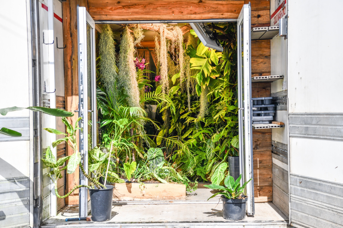  (Emma Trimble via SWNS) 