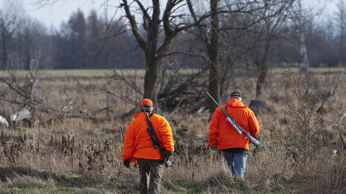 Could Minnesota hunters shoot 200,000 deer this year? 