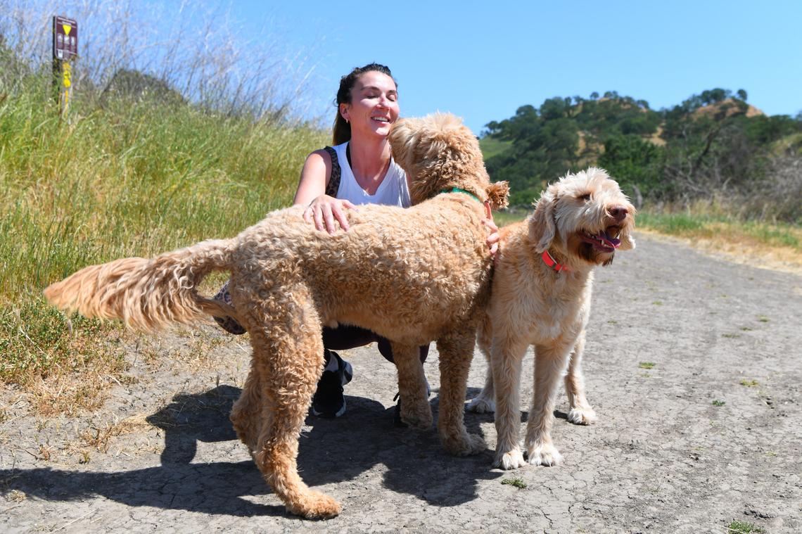 Victoria Conway, of Walnut Creek, gets some kisses from her dog Clyde, a five-year old Goldendoodle, while on a walk with her dogs at Shell Ridge Open Space in Walnut Creek, Calif., on Thursday, May 1, 2025. 