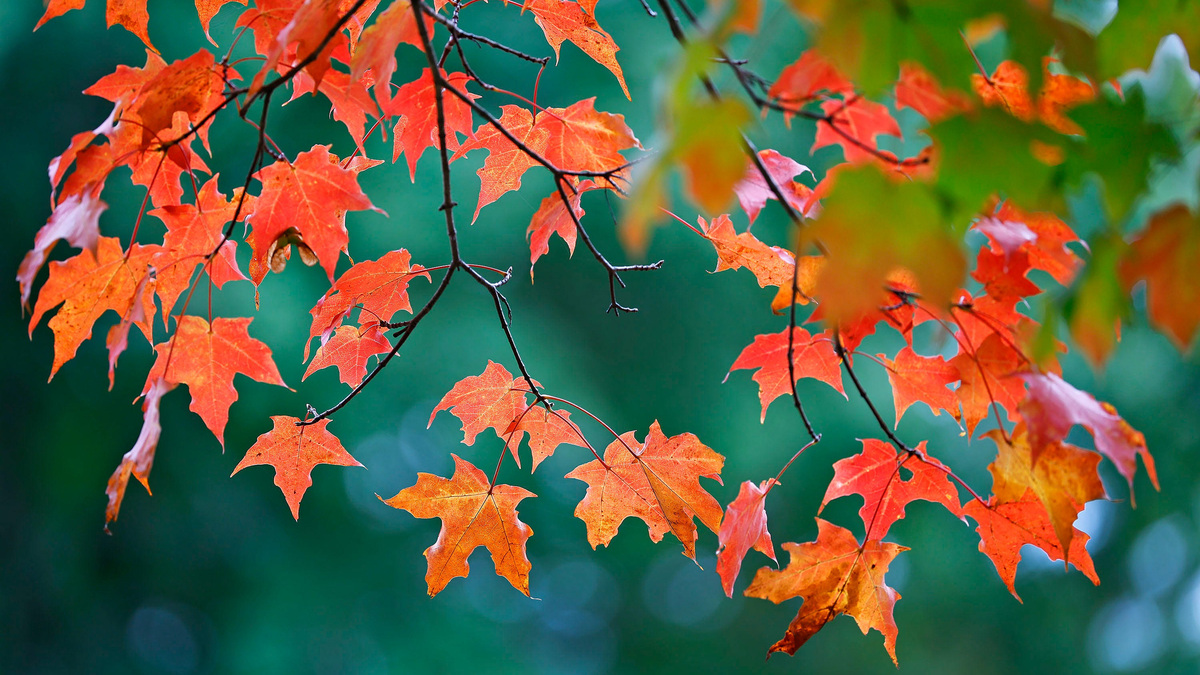Temps in the 50s are right around the corner in Louisiana. See timeline ...