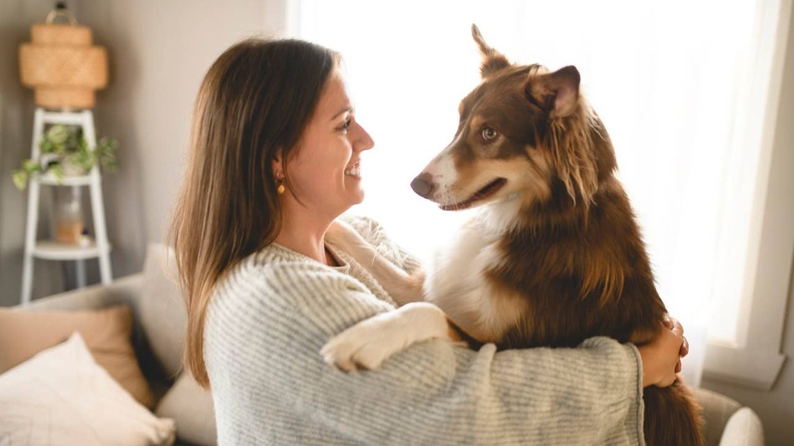 7 Devoted and Loving Dog Breeds That Would Do Anything for Their Human Family, According to Vets 