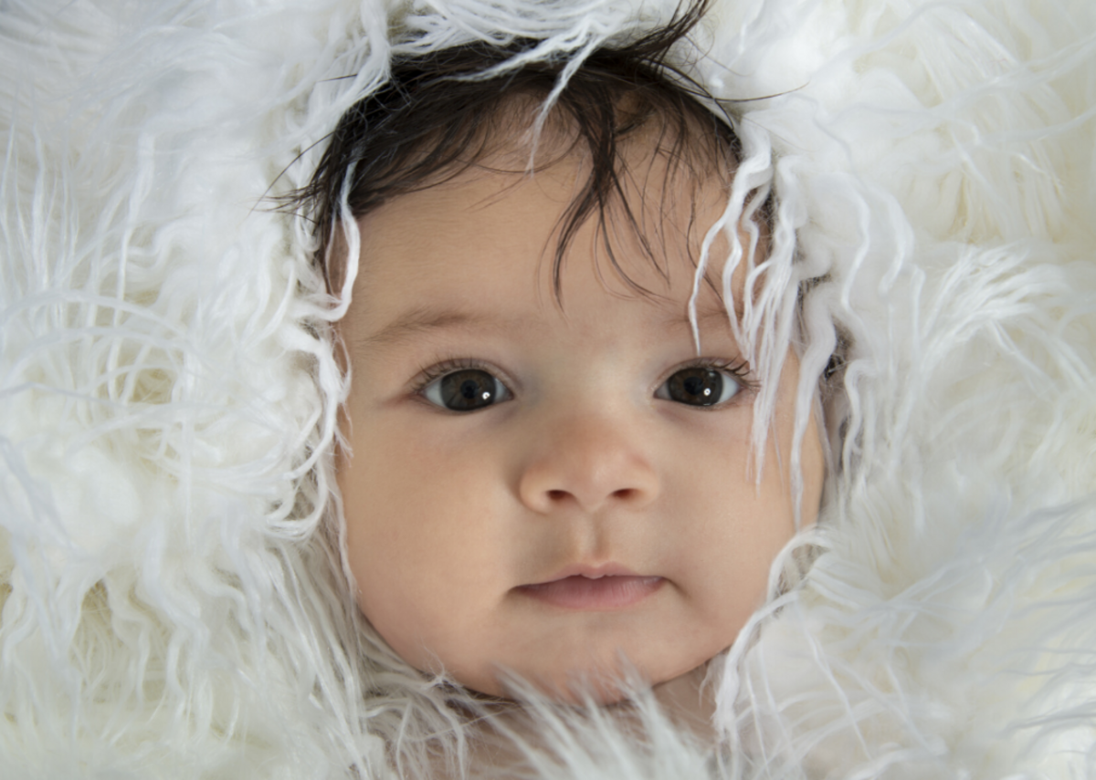  Fuller Photography // Shutterstock 