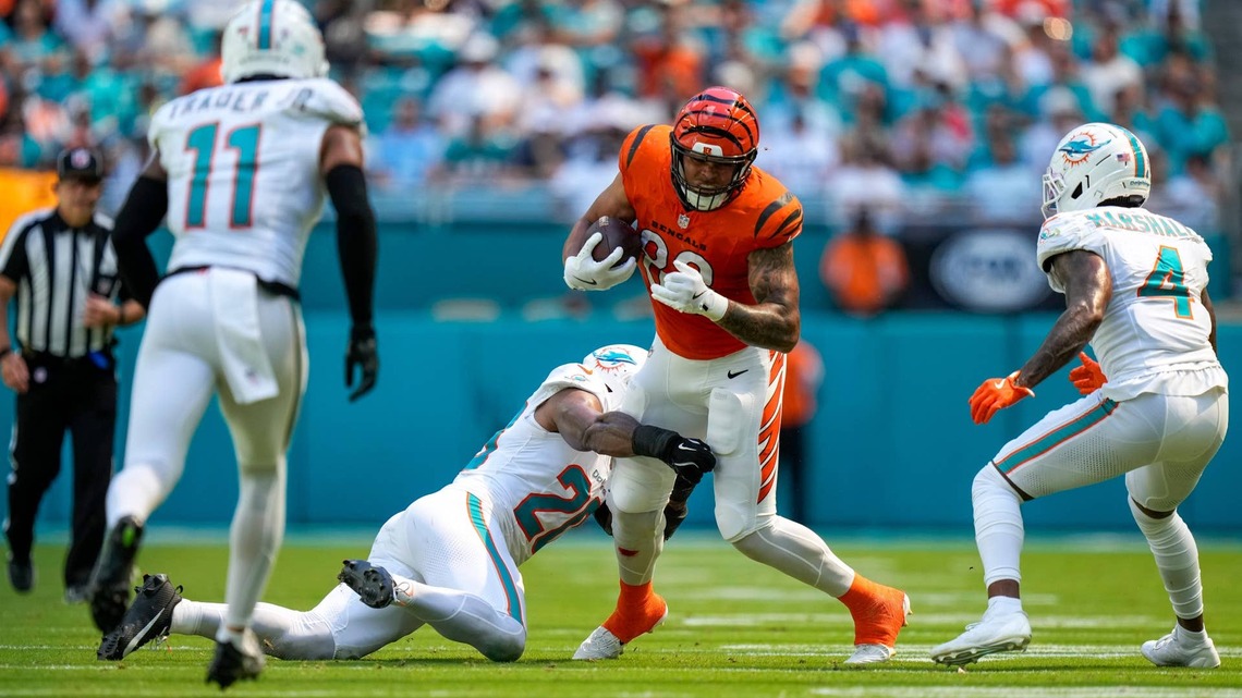 Dolphins Snap-Count Story: What the Workload Revealed