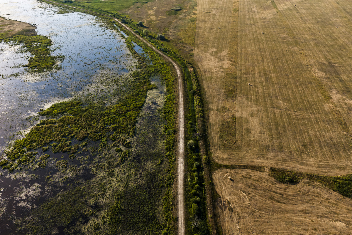 A drone view shows a flooded marshland at Hortobagy National Park near Tiszafured, Hungary, June 26, 2026. REUTERS/Marton Monus