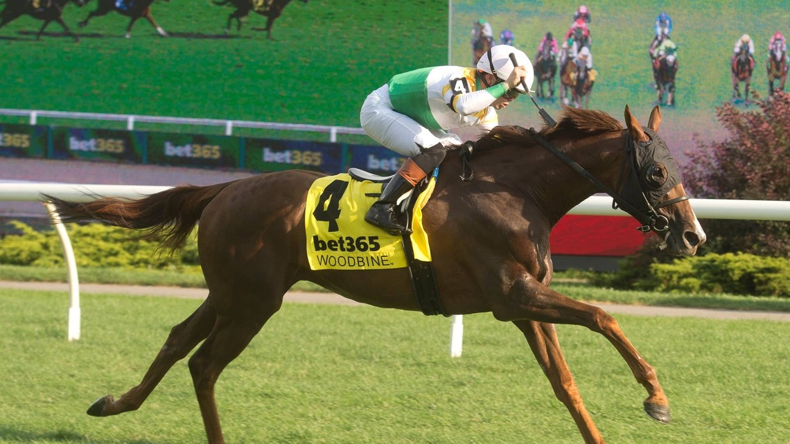 Niagara Winner English Actor Back For More In Singspiel Stakes 