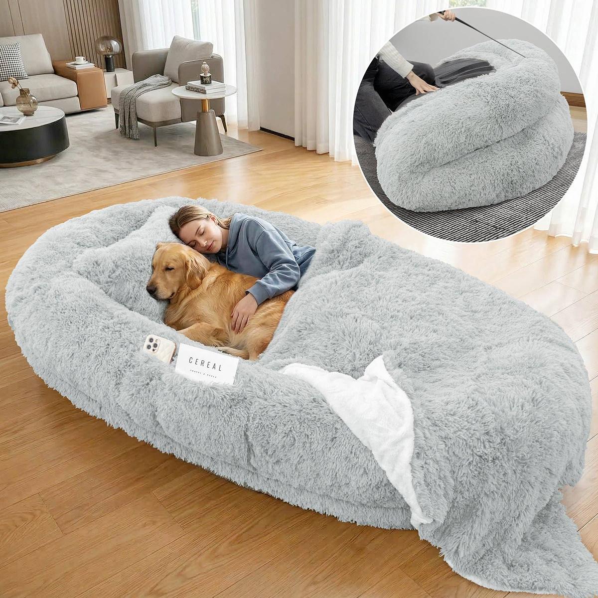  Chewy human dog bed 
