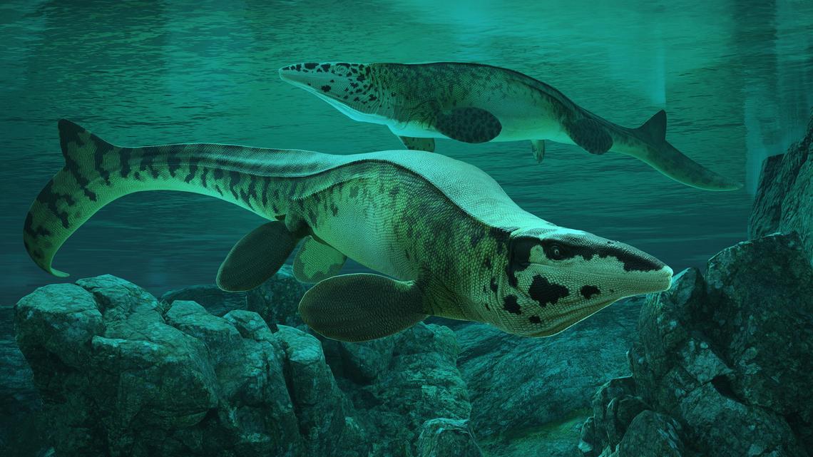 Fearsome dinosaur-era marine reptile was the T. rex of the sea 