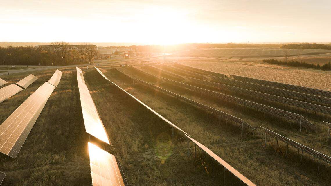 Sunlight on solar panels in Granite Falls., Minn., Oct. 27, 2025. A Tulare farmer explains how community solar could save his family farm, cut bills for low-income subscribers and create local jobs if AB 1813 passes.