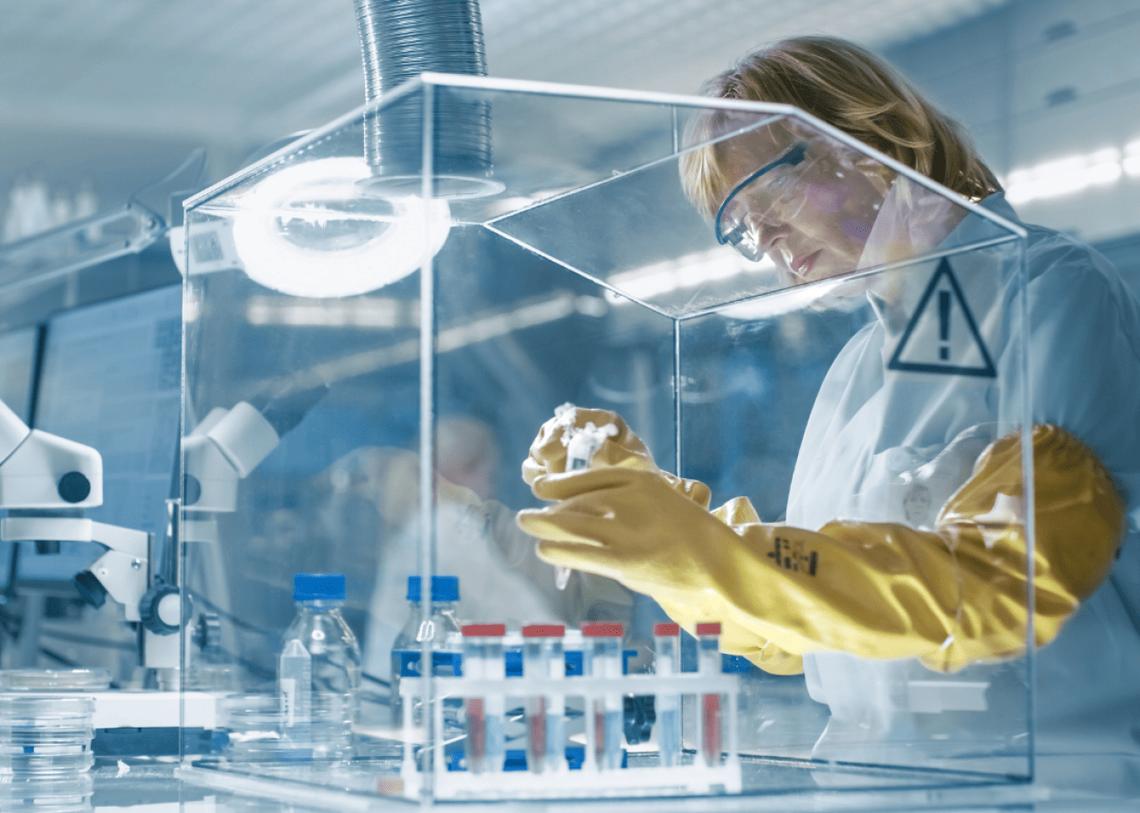  Gorodenkoff // Shutterstock 