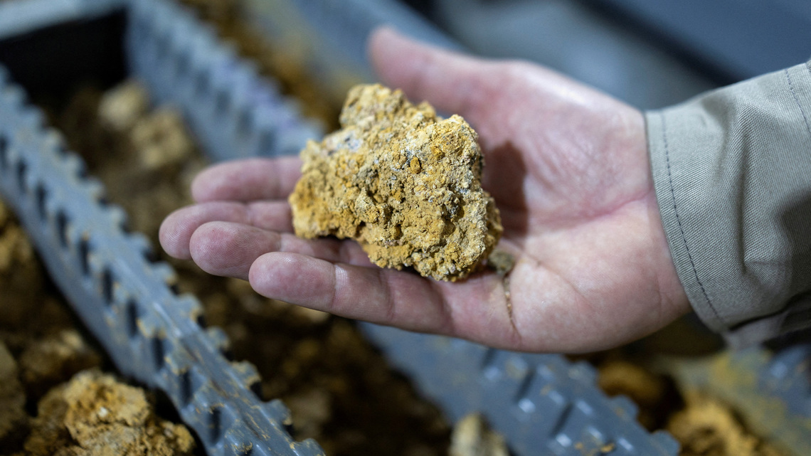 Analysis-Soy, rare earths and fuels: how Brazil vote impacts the global flow of resources 