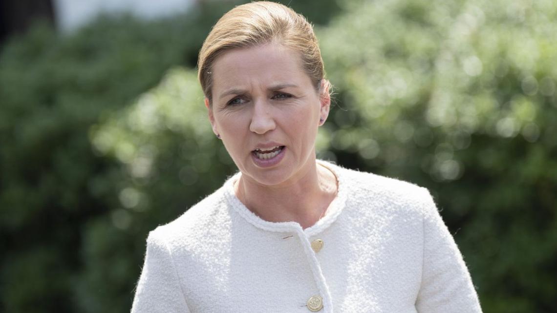 Danish PM Frederiksen calls for snap parliamentary elections 