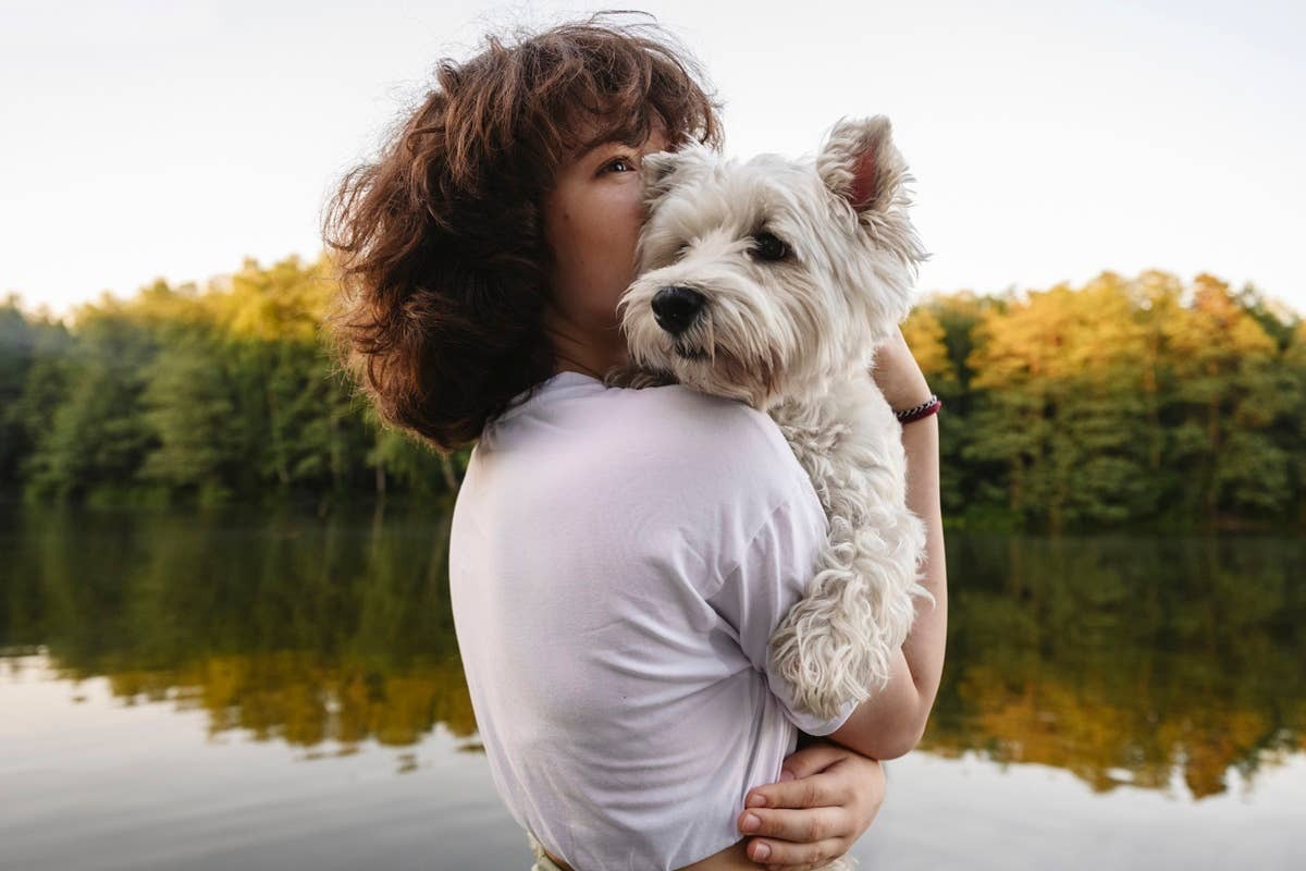  A dog turning away when it's owner overwhelms it by using a sharp tone.
