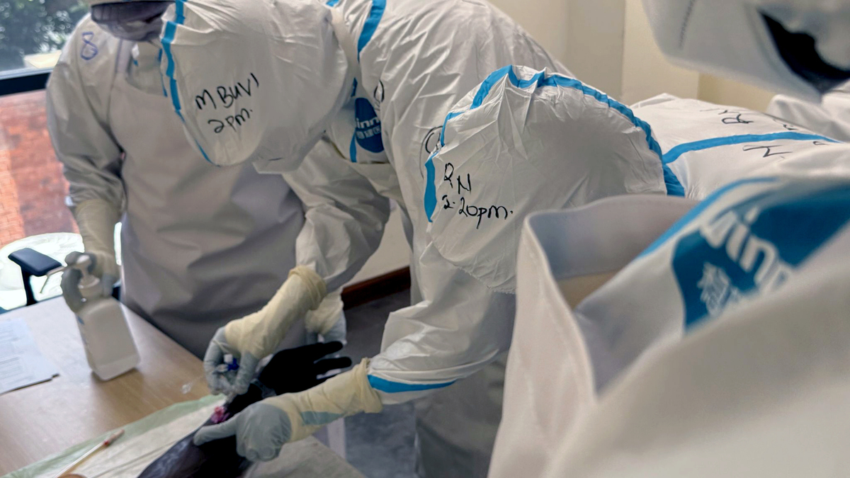 Doctors from various countries in East Africa train in safe practices at an Ebola treatment centre as part of the tEACH project, which is being carried out jointly by experts from the Institute of Global Health and the Department of Infectious Diseases and Critical Care Medicine at Charite. (is associated with: WHO reports 75 health-care workers infected with Ebola) (Eva Krafczyk/dpa/TNS)
