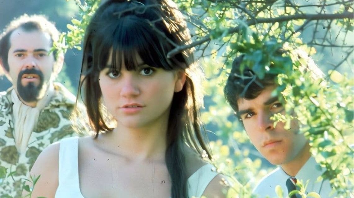 1967 Folk-Rock Hit, Rejected by The Monkees, Became a ‘Summer of Love' Anthem 